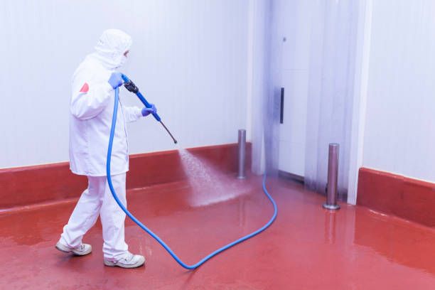 Best Driveway Pressure Washing  in Villa Park, CA